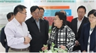 市委副書記、代市長艾麗華來我公司考察、調(diào)研